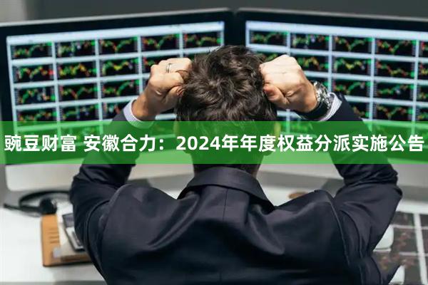 豌豆财富 安徽合力：2024年年度权益分派实施公告