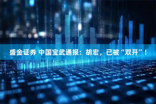 盛金证券 中国宝武通报：胡宏，已被“双开”！