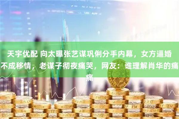 天宇优配 向太曝张艺谋巩俐分手内幕，女方逼婚不成移情，老谋子彻夜痛哭，网友：谁理解肖华的痛