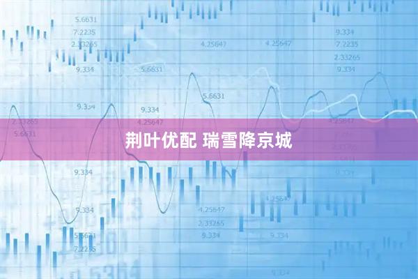 荆叶优配 瑞雪降京城