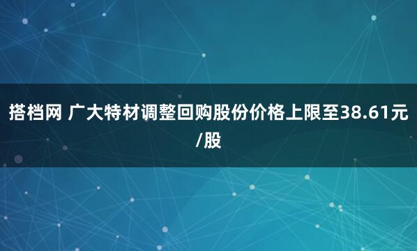 搭档网 广大特材调整回购股份价格上限至38.61元/股
