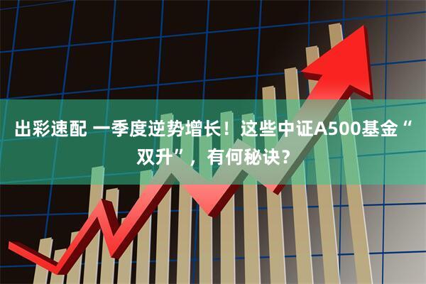 出彩速配 一季度逆势增长！这些中证A500基金“双升”，有何秘诀？