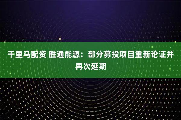千里马配资 胜通能源：部分募投项目重新论证并再次延期